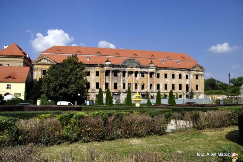 M.S. Piccolo Apartment Żary Exterior foto